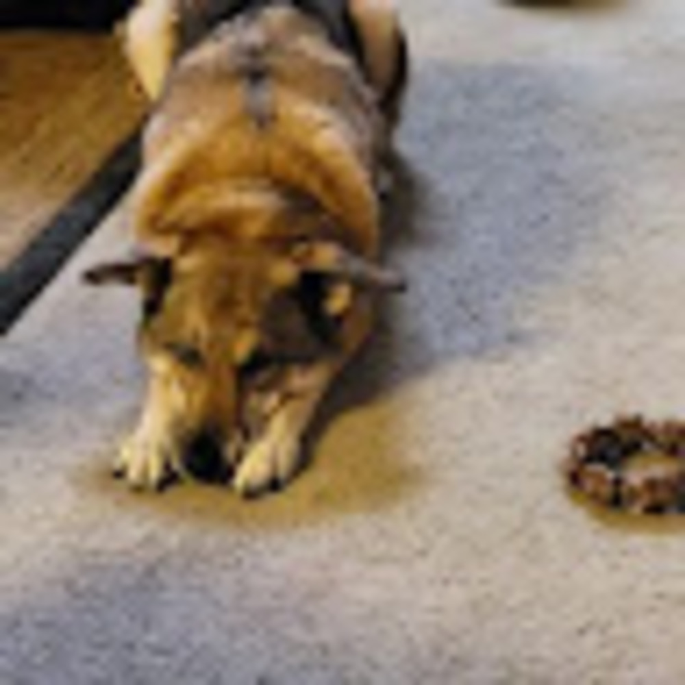 Meet your Posher, Zach